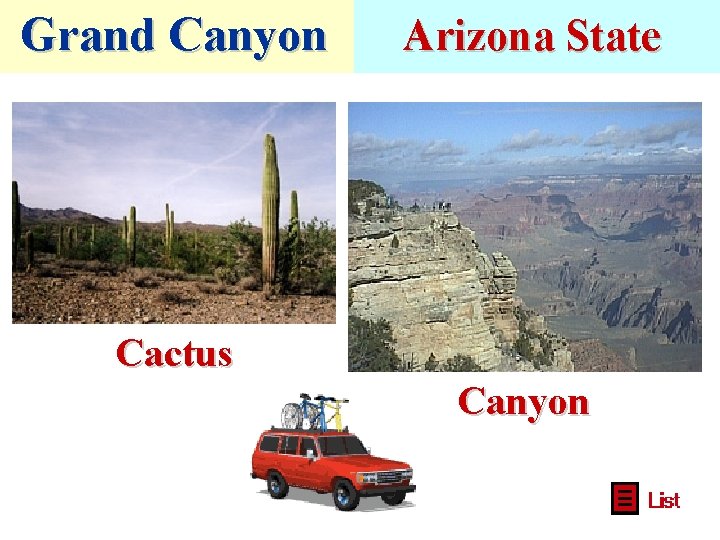 Grand Canyon Arizona State Cactus Canyon 