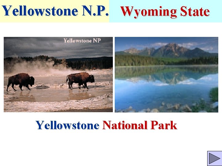 Yellowstone N. P. Wyoming State Yellowstone National Park 