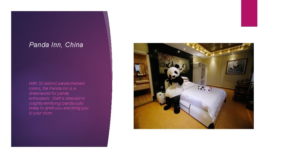 Panda Inn, China With 32 distinct panda-themed rooms, the Panda Inn is a dreamworld