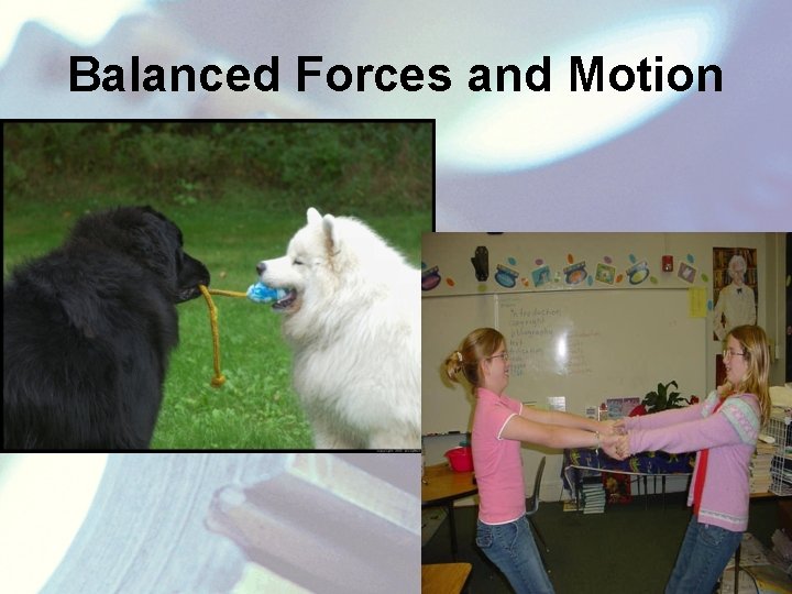 Balanced Forces and Motion 