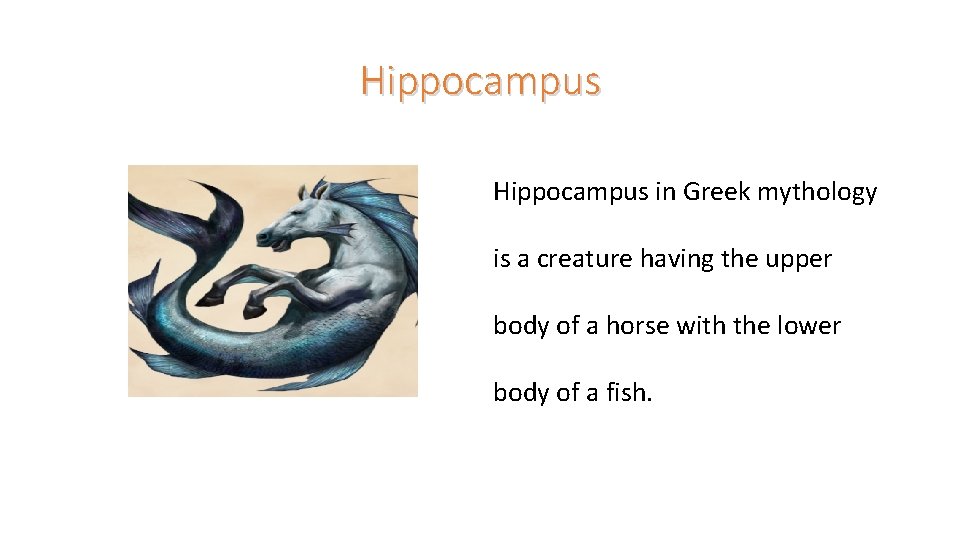 Hippocampus in Greek mythology is a creature having the upper body of a horse