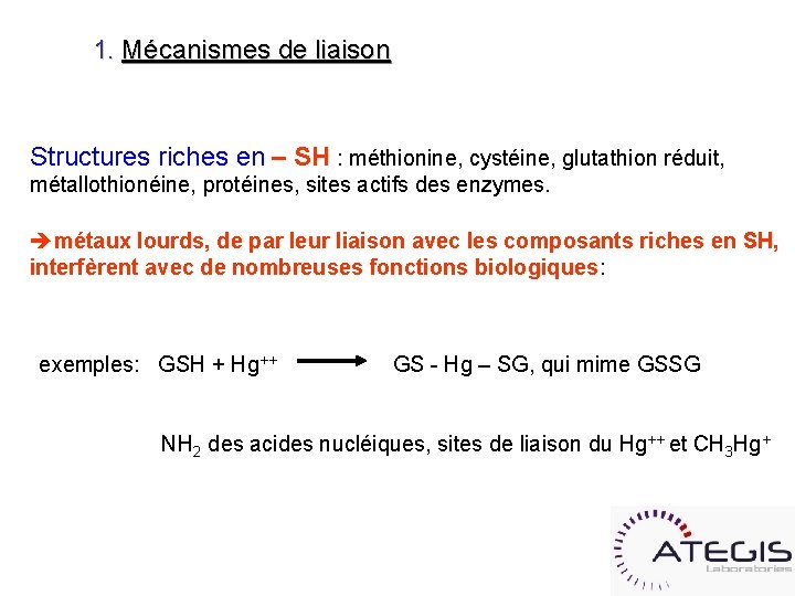 1. Mécanismes de liaison Structures riches en – SH : méthionine, cystéine, glutathion réduit,