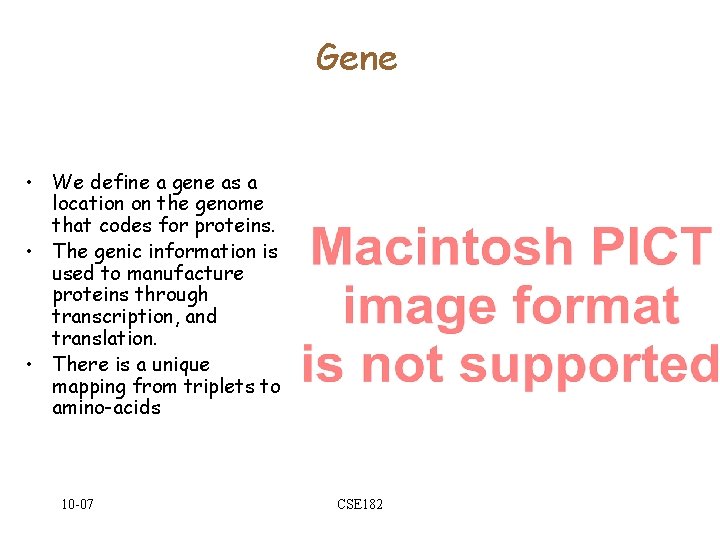 Gene • We define a gene as a location on the genome that codes