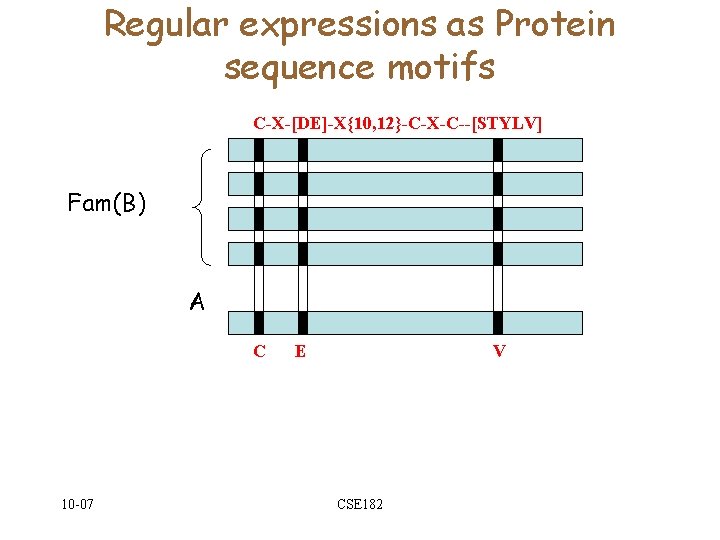 Regular expressions as Protein sequence motifs C-X-[DE]-X{10, 12}-C-X-C--[STYLV] Fam(B) A C 10 -07 E