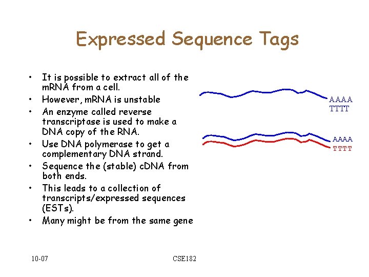 Expressed Sequence Tags • • It is possible to extract all of the m.