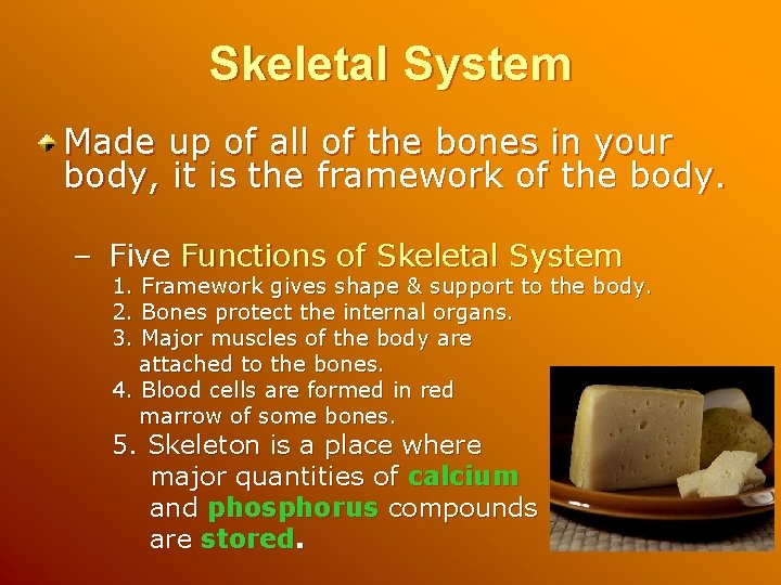 Skeletal System Made up of all of the bones in your body, it is