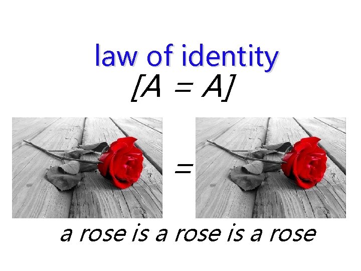 law of identity [A = A] = a rose is a rose 