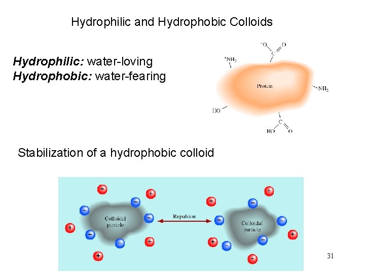 Hydrophilic and Hydrophobic Colloids Hydrophilic: water-loving Hydrophobic: water-fearing Stabilization of a hydrophobic colloid 31