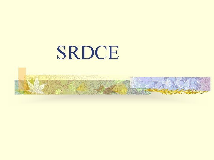 SRDCE 