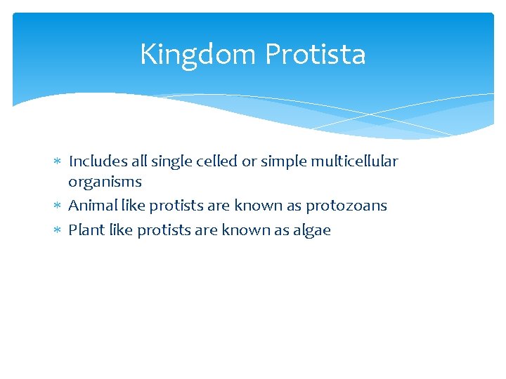 Kingdom Protista Includes all single celled or simple multicellular organisms Animal like protists are