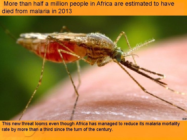 More than half a million people in Africa are estimated to have died from