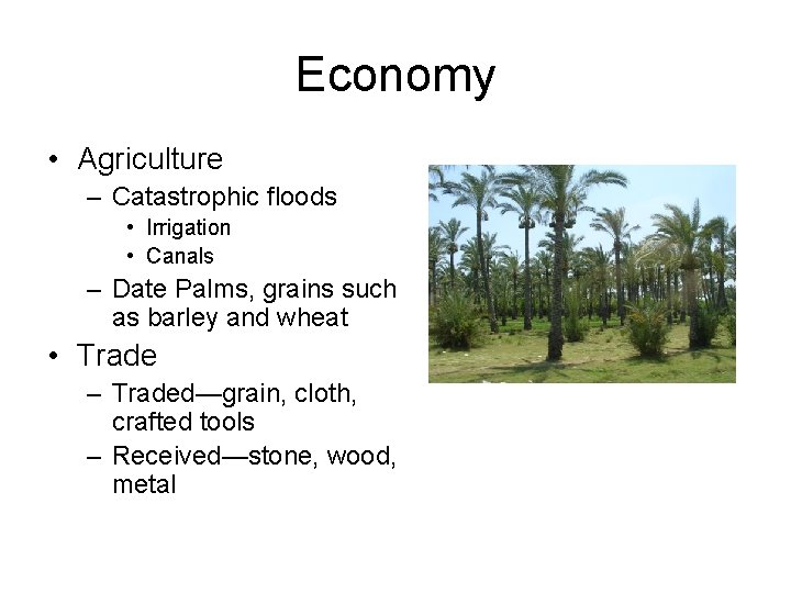 Economy • Agriculture – Catastrophic floods • Irrigation • Canals – Date Palms, grains