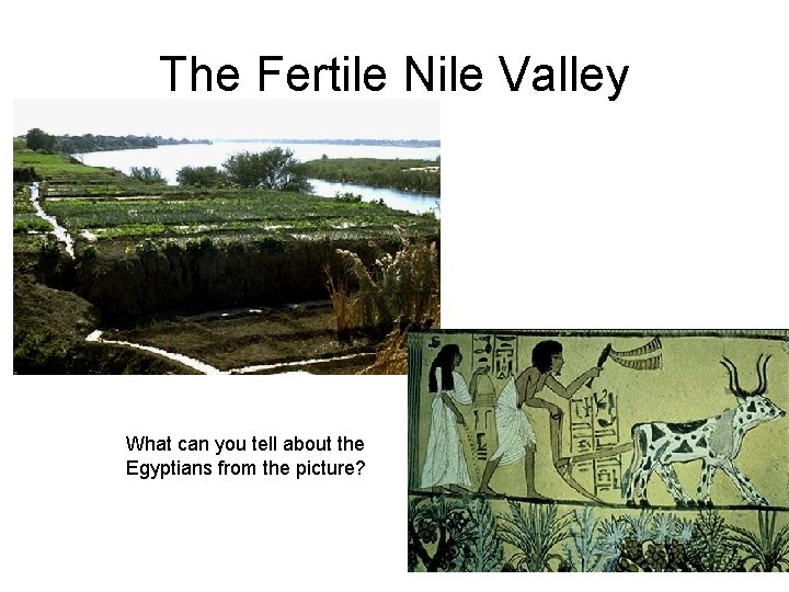 The Fertile Nile Valley What can you tell about the Egyptians from the picture?