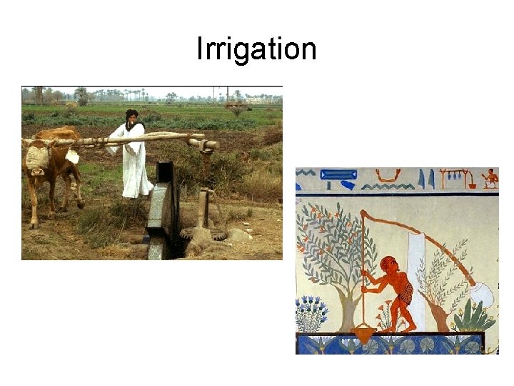 Irrigation 