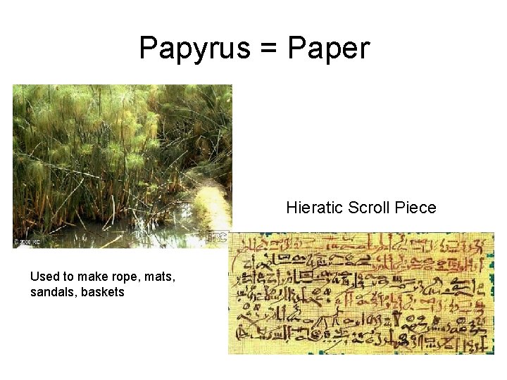 Papyrus = Paper Hieratic Scroll Piece Used to make rope, mats, sandals, baskets 