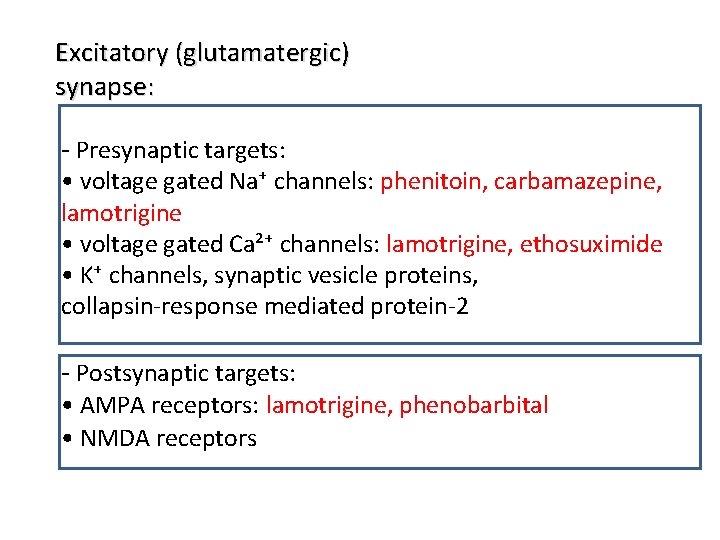 Excitatory (glutamatergic) synapse: - Presynaptic targets: • voltage gated Na⁺ channels: phenitoin, carbamazepine, lamotrigine