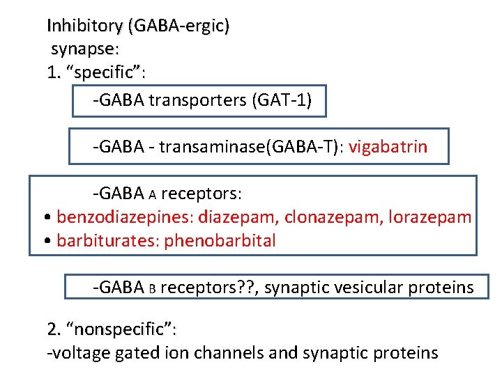 Inhibitory (GABA-ergic) synapse: 1. “specific”: -GABA transporters (GAT-1) -GABA - transaminase(GABA-T): vigabatrin -GABA A