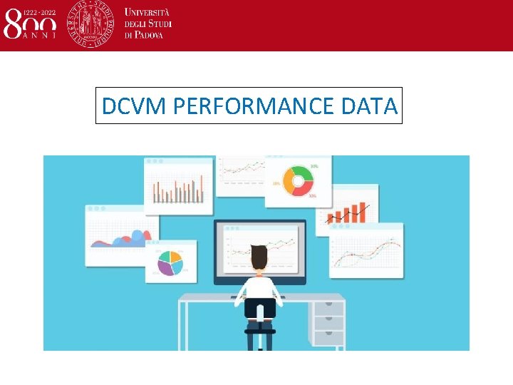 DCVM PERFORMANCE DATA 