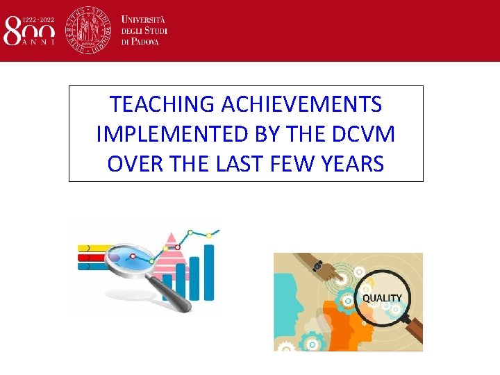 TEACHING ACHIEVEMENTS IMPLEMENTED BY THE DCVM OVER THE LAST FEW YEARS 