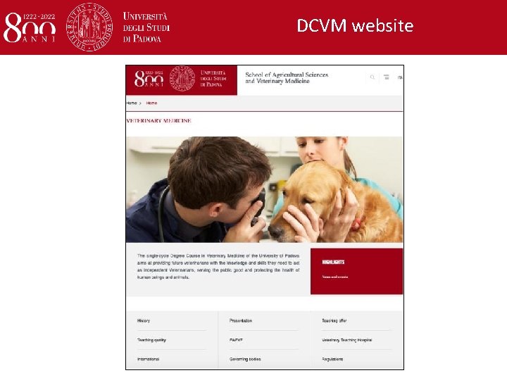 DCVM website 