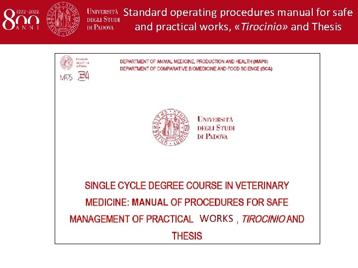 Standard operating procedures manual for safe and practical works, «Tirocinio» and Thesis WORKS 