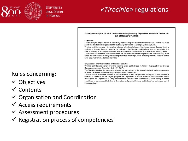  «Tirocinio» regulations Rules concerning: ü Objectives ü Contents ü Organisation and Coordination ü
