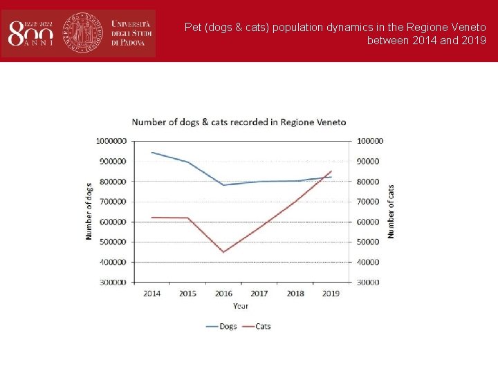 Pet (dogs & cats) population dynamics in the Regione Veneto between 2014 and 2019