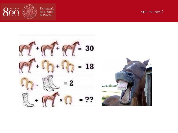 ……and Horses? 