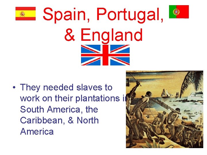 Spain, Portugal, & England • They needed slaves to work on their plantations in