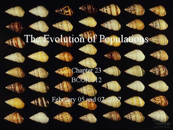The Evolution of Populations Chapter 23 BCOR 012 February 05 and 07, 2007 
