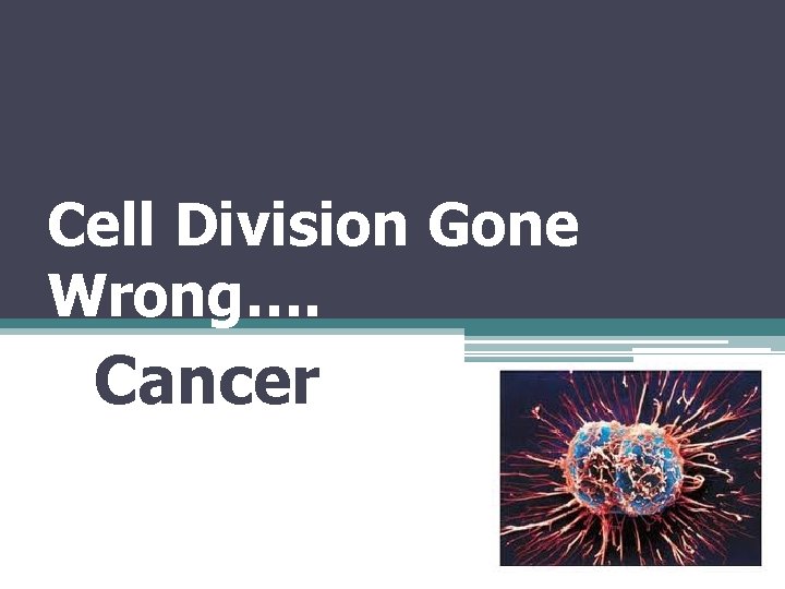 Cell Division Gone Wrong…. Cancer 