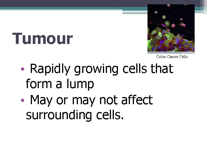 Tumour Colon Cancer Cells • Rapidly growing cells that form a lump • May