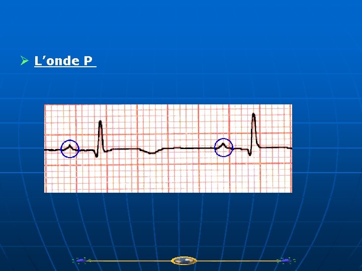 Ø L’onde P 