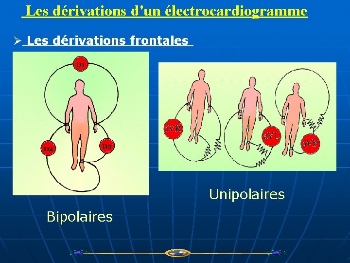 Les dérivations d'un électrocardiogramme Ø Les dérivations frontales Unipolaires Bipolaires 