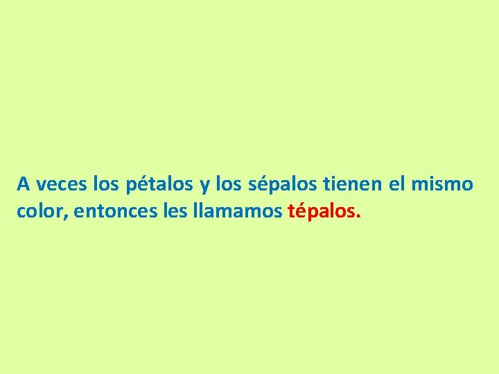 A veces los pétalos y los sépalos tienen el mismo color, entonces llamamos tépalos.