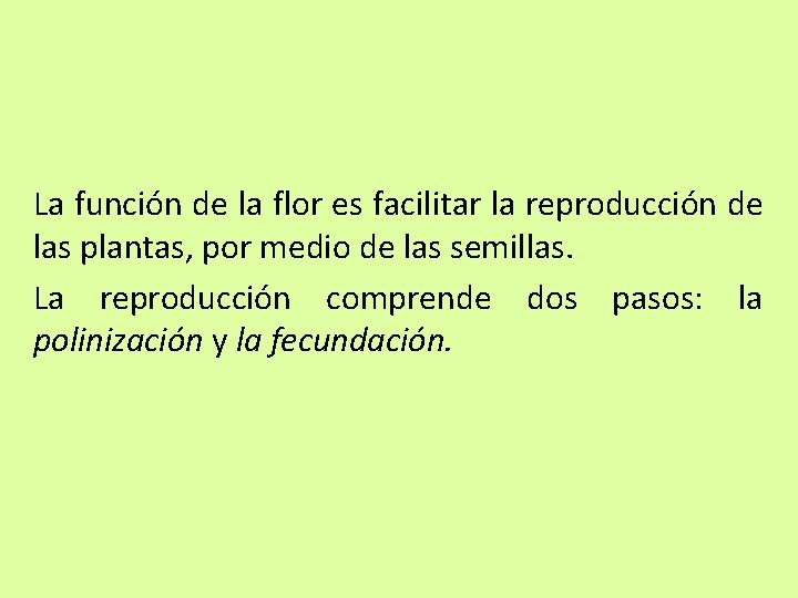 La función de la flor es facilitar la reproducción de las plantas, por medio