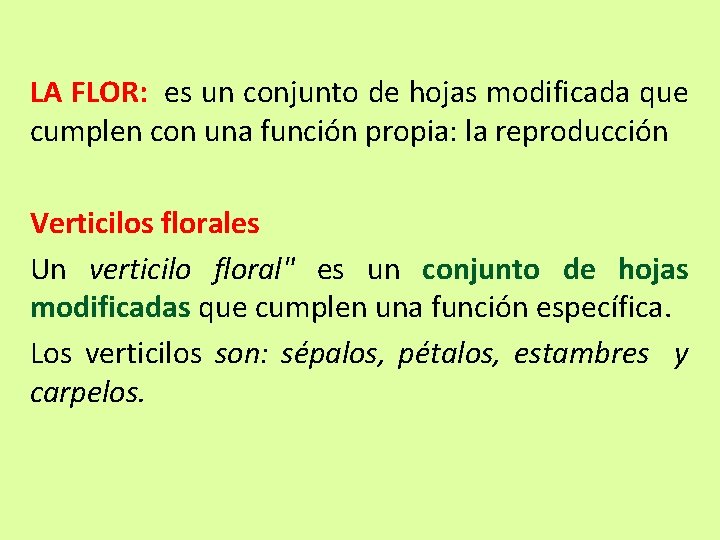 LA FLOR: es un conjunto de hojas modificada que cumplen con una función propia: