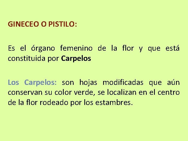 GINECEO O PISTILO: Es el órgano femenino de la flor y que está constituida