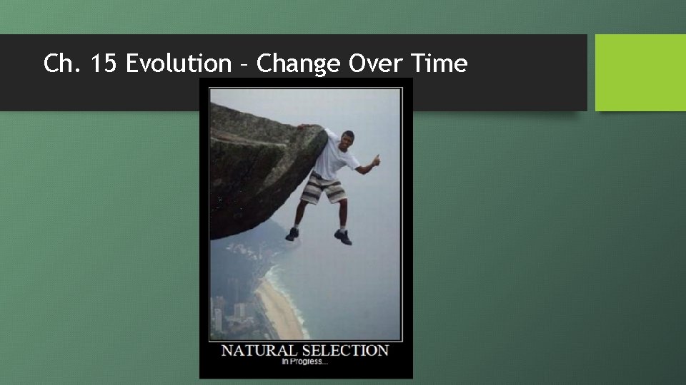 Ch. 15 Evolution – Change Over Time 