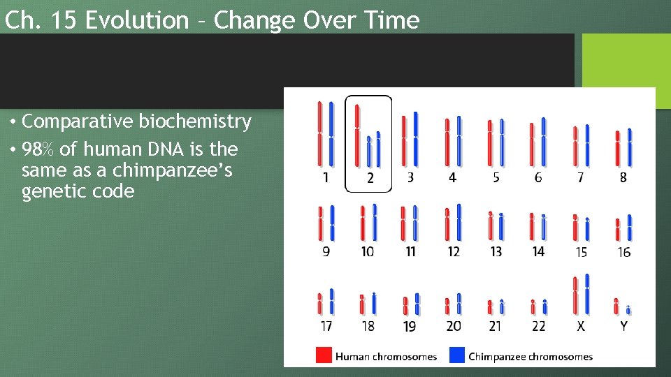 Ch. 15 Evolution – Change Over Time • Comparative biochemistry • 98% of human