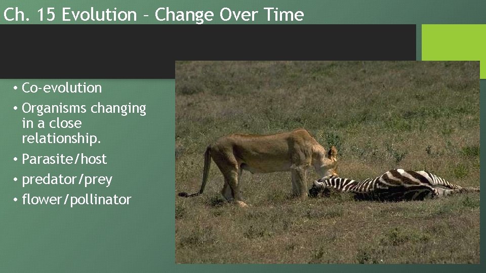 Ch. 15 Evolution – Change Over Time • Co-evolution • Organisms changing in a