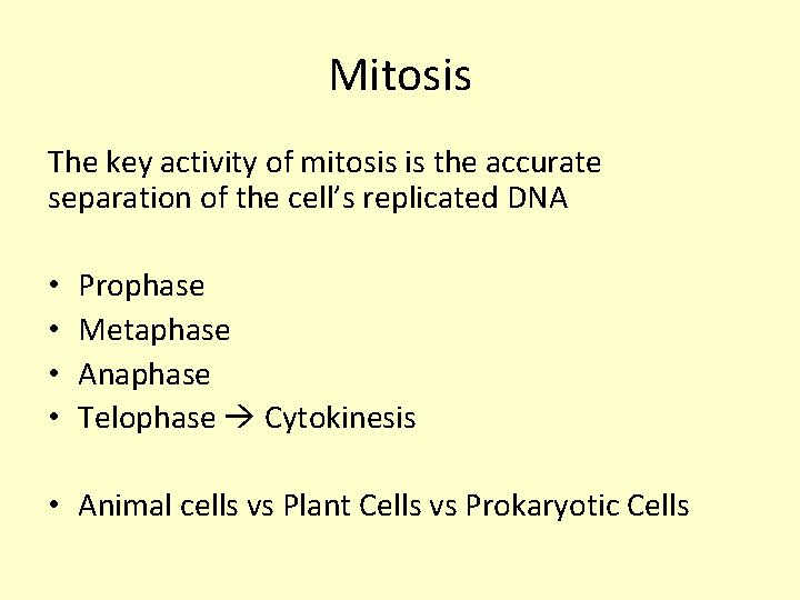Mitosis The key activity of mitosis is the accurate separation of the cell’s replicated