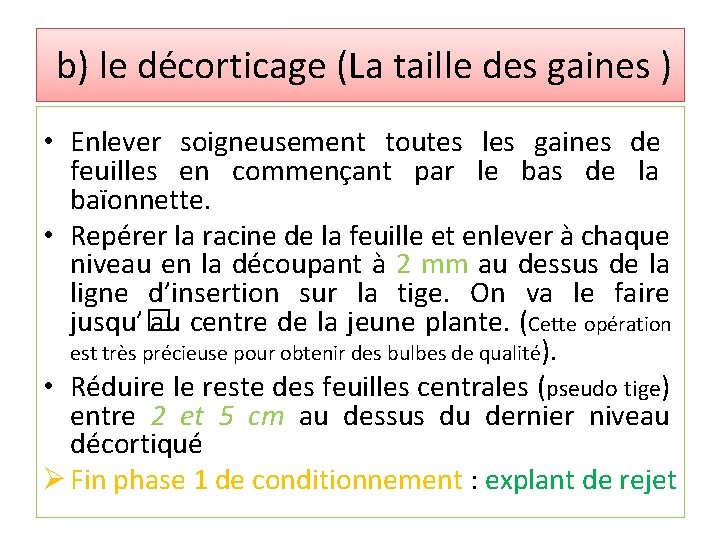 b) le décorticage (La taille des gaines ) • Enlever soigneusement toutes les gaines