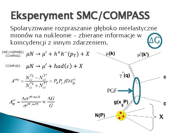 Eksperyment SMC/COMPASS Spolaryzowane rozpraszanie głęboko nieelastyczne mionów na nukleonie – zbierane informacje w koincydencji