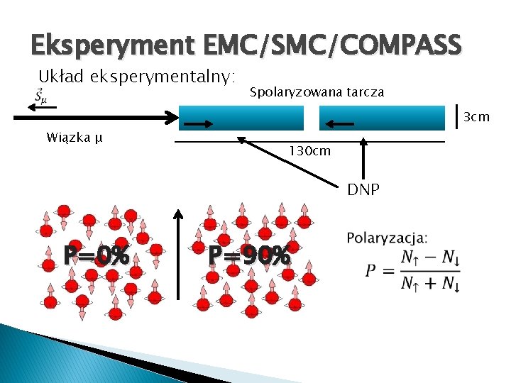Eksperyment EMC/SMC/COMPASS Układ eksperymentalny: Spolaryzowana tarcza 3 cm Wiązka μ 130 cm DNP P=0%