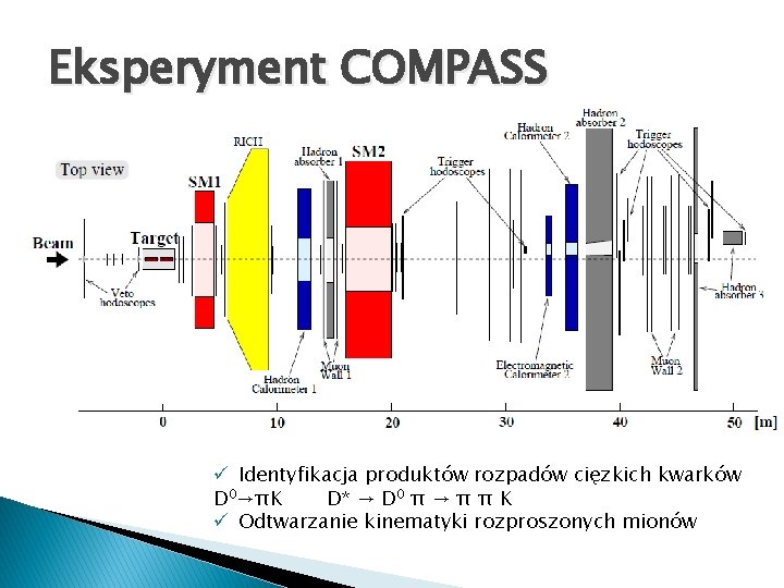 Eksperyment COMPASS ü Identyfikacja produktów rozpadów cięzkich kwarków D 0→πK D* → D 0