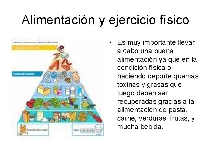 Alimentación y ejercicio físico • Es muy importante llevar a cabo una buena alimentación