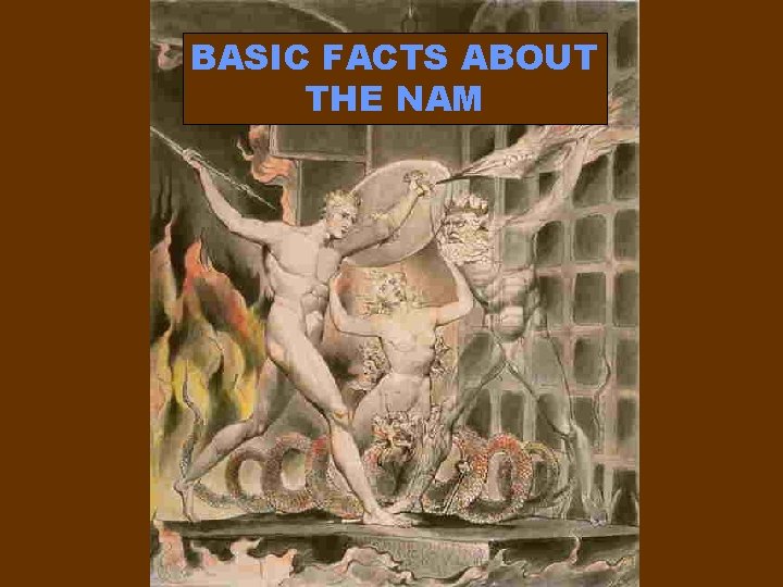 BASIC FACTS ABOUT THE NAM 