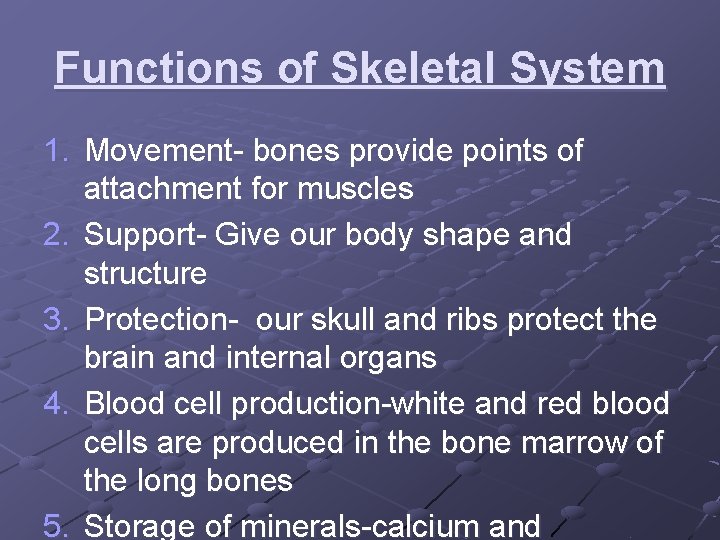 Functions of Skeletal System 1. Movement- bones provide points of attachment for muscles 2.