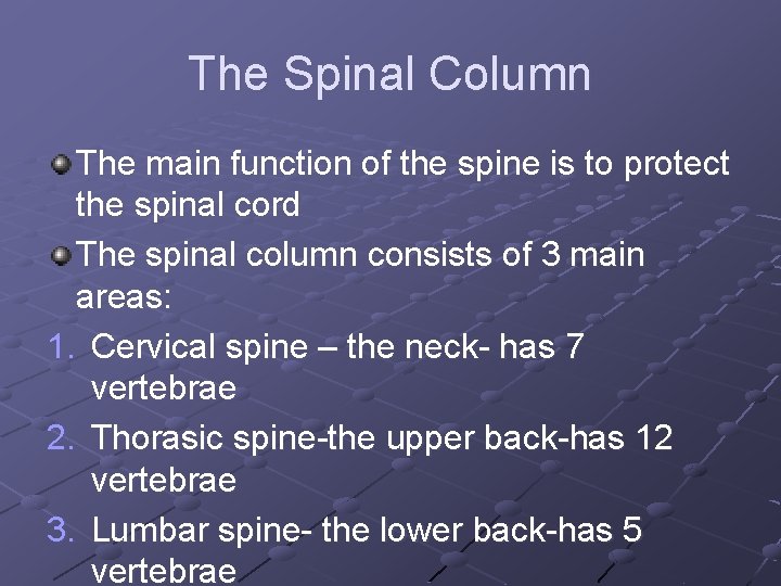 The Spinal Column The main function of the spine is to protect the spinal